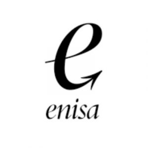 Informacion Ayudas de ENISA para Emprendedores