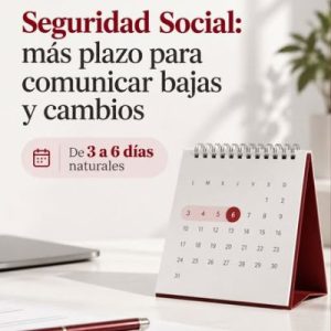 plazo baja Seguridad Social